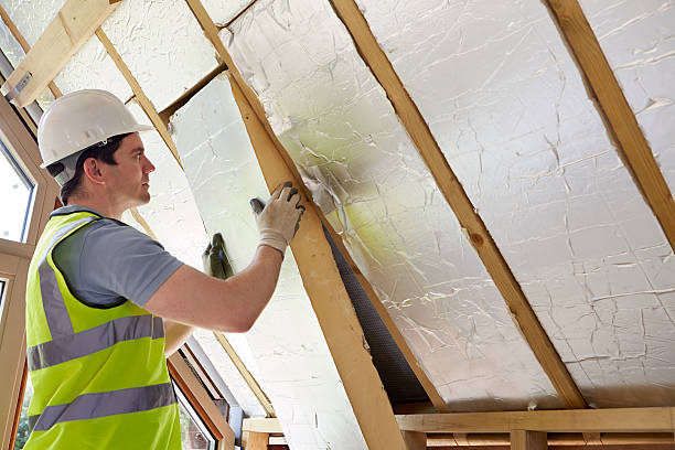 Best Insulation Removal  in Duncannon, PA